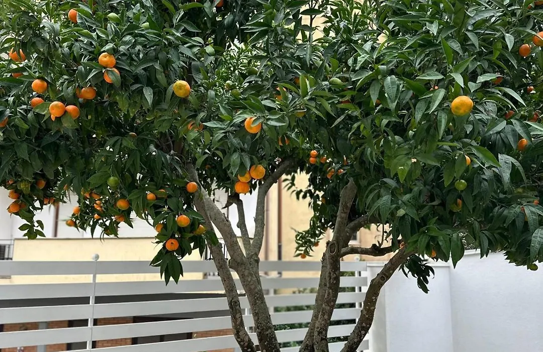 B&B Villa Soleil-1